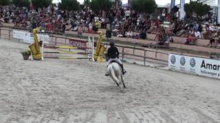 Lamotte 2016 CSO Club 1 Jeune sénior [upl. by Britney189]