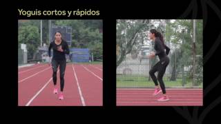 405 Yoguis cortos y rapidos [upl. by Lleira]