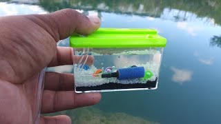 WORLDS SMALLEST Fish AQUARIUM REAL [upl. by Etneciv]