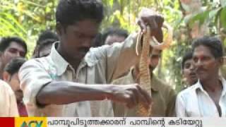 Cobra attacks Vava Suresh Live visuals [upl. by Rogergcam]