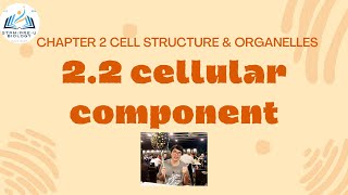 STPM BIOLOGY SEM 1 CHAPTER 2  ORGANELLES  CELL COMPONENT  NUCLEUS STRUCTURE amp FUNCTION [upl. by Belsky935]