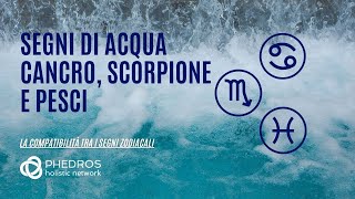 La compatibilità tra segni di acqua Cancro Scorpione Pesci [upl. by Lennard]