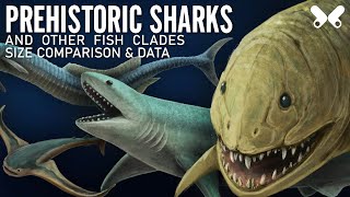 SHARKS and other PREHISTORIC FISH size comparison and data [upl. by Artep964]