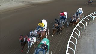 1 horse dead in Calgary Stampede chuckwagon race [upl. by Terchie287]