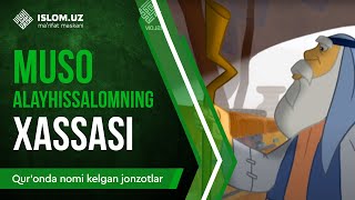 13 Muso alayhissalomning hassasi 3qism  Quronda nomi kelgan jonzotlar [upl. by Nohtan]