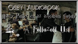 Harry Potter és az azkabani fogoly hangoskönyv remake  4 fejezet [upl. by Wordoow]