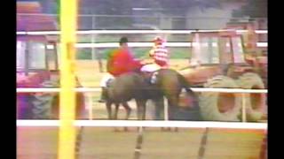 1981 Belmont Stakes  Summing  CBS Broadcast [upl. by Strain783]