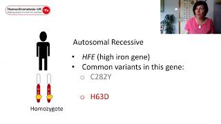 An introduction to the genetics of haemochromatosis [upl. by Andris412]