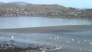 Sausalito Tsunami Surge [upl. by Enair]