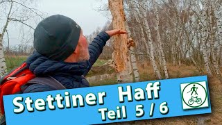 Stettiner Haff 56  Ueckermünde  Eggesin  Wanderung an der Uecker [upl. by Talia]