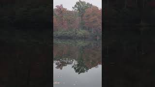 Relaxing by Laurel lake Breaks Interstate Park Breaks VA [upl. by Ozzie]