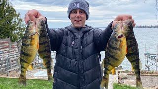 Spring 2023  Lake Simcoe Perch Fishing [upl. by Huldah]