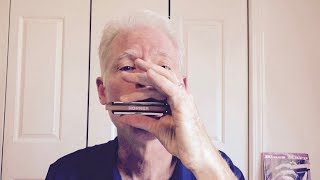 5 cool riffs for beginning blues harmonica players [upl. by Timothy]