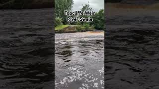 Topcliffe Weir River Swale [upl. by Nobell]