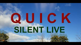 QUICK SILENT LIVE [upl. by Yraunaj894]