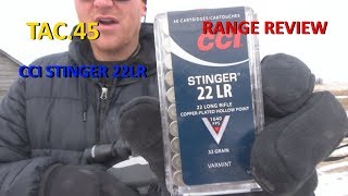 CCI STINGER 22LR AMMUNITION REVIEW [upl. by Eirb34]