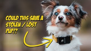 Fi Series 3 Smart Dog Collar  Review [upl. by Anada54]