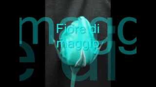 quot Fiore Di Maggio quot Fabio Concato [upl. by Marijane707]