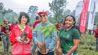 A 2000 Tree Microforest at Lenana School GGI In collaboration with DTB and Furaha amp Baraka [upl. by Acireed]