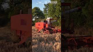 Traynor Bros Lavarda Combine full Video on main channel harvest [upl. by Ayim]