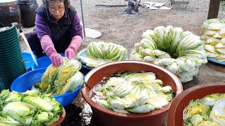 김장김치 맛있게 담그는법 총 40분 풀영상 물없이 하는 수육 김장담그기 korean kimchi recipe  how to make korean kimchi [upl. by Hnacogn]