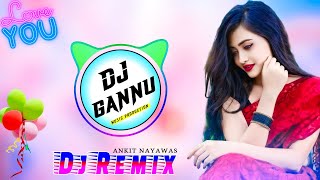 Dj Remix Meena Song 2023  harisingh Dholan new meena geet 2023  Dj remix song [upl. by Leirbag466]