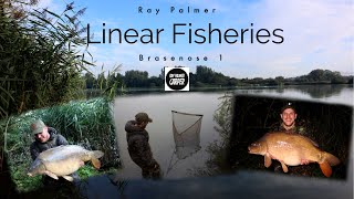 Linear Fisheries  Brasenose 1  Ray Palmer [upl. by Alohcin]