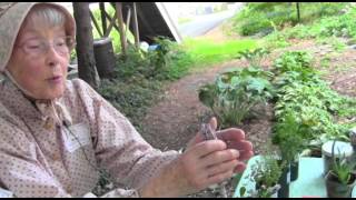 Herbs in Colonial America Monroe County Historical Association [upl. by Anauqcaj706]