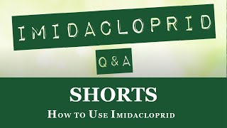 Quick Overview on How to Use Imidacloprid shorts [upl. by Heymann]