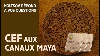 Comment utiliser les CEF comportant des canaux Maya  Y atil des règles à respecter [upl. by Nelleeus]