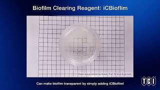 Biofilm Clearing Reagent iCBiofilm [upl. by Avin898]