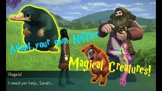 ADOPT MAGICAL CREATURES Harry Potter Hogwarts Mystery Side Quest [upl. by Den690]