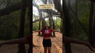 Exploring Aurovilleaurovilletravelpuducherryaurovillefrenchcolonsouthindiantamilviralvideo [upl. by Brest526]