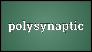 Polysynaptic Meaning [upl. by Wiley798]