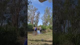 Cleaning Termites amp Gunk From Yidaki In River didgeridoo aboriginal instrument healing culture [upl. by Leiand]