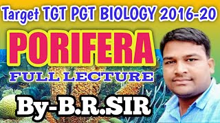 TGT PGT BIOLOGY 2020 Phylum Porifera full lecture  most important points of porifera  BRSir [upl. by Tyrus]