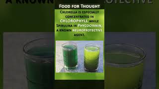 Spirulina VS Chlorella [upl. by Alcine]