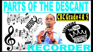 Parts of a Descant Recorder Explained [upl. by Keenan859]