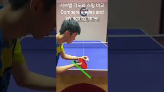 서브별 각도와 스윙 비교오른손용 Compare angles and swings by serve For right hand サーブの角度とスイングを比較する（右手の場合） [upl. by Solhcin498]