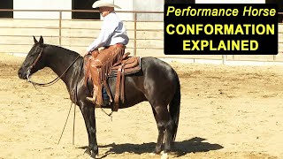 Performance Horse Conformation Explained  Training For Reining amp Cutting Horses [upl. by Boucher84]