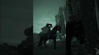 The friesians are so iconic friesian sso shorts edits starstable [upl. by Hanid]