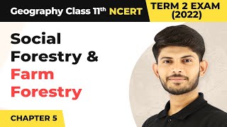 Class 11 Geography Chapter 5  Social Forestry and Farm Forestry  Natural Vegetation [upl. by Ylla]