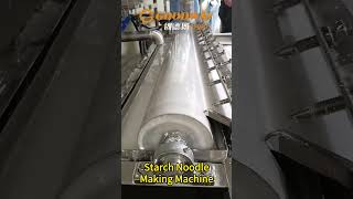 Cassava or Potato Starch noodle making machine vermicelli processing machines is distributing pulp [upl. by Ramberg]