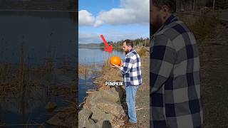 The Pumpkins Journey Through the Whirlpool Portal 😱😍 shorts phenomenon wildlifesurvival [upl. by Caswell]