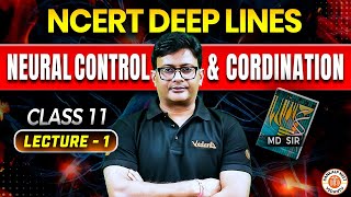 NEURAL CONTROL AND COORDINATION CLASS 11  NCERT DEEP LINES  NCERT FOR NEET 2025 ZOOLOGY BY MD SIR [upl. by Wolfgram]