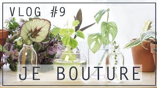 🌱 Vlog bouturage  je bouture mes plantes dintérieur   Vlog 8 [upl. by Leeda787]