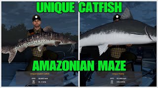 Unique Catfish Guide But With Lure  At The Amazonian Maze  Fishing Planet [upl. by Pulcheria]