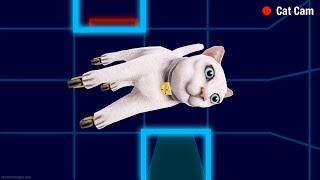 XTREME CAT RACING  TimeSplitters Future Perfect [upl. by Vaientina]