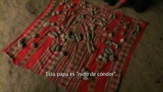 CORTOMETRAJE quotGUARDIANAS DE LAS SEMILLASquot  CUARTO LUGAR [upl. by Kenna252]