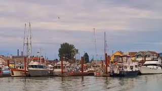 🇨🇦 4K Beautiful Views of Steveston Fishermans Wharf  Richmond BC Canada Sep 2024 [upl. by Iridis]